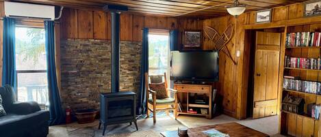TV, DVD player, books, video library