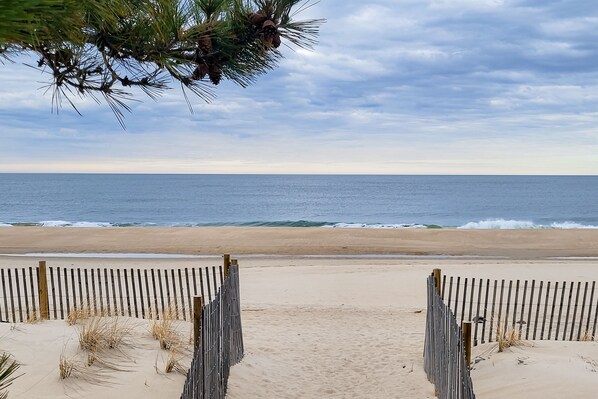 Playa en los alrededores