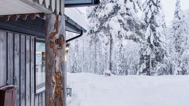 A wooden cabin with a snow-covered landscape and trees in the background.