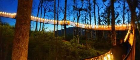 Una hamaca colgada entre árboles en un área boscosa con luces de adorno.