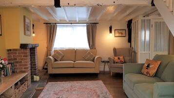 Smart TV, fireplace, books