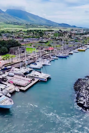 Marina