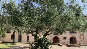 A courtyard with a large tree in the center, surrounded by a stone wall and a building with arched windows and doors. - Vacation house with pool and garden (Campiglia Marittima)