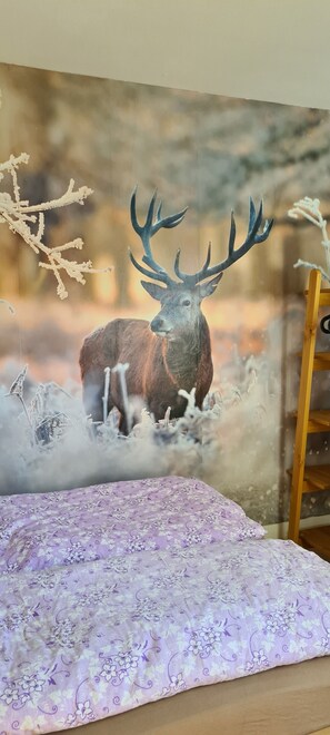 2 soverom, strykejern/-brett, wi-fi (inkludert) og rullestolvennlig