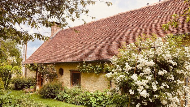 A rustic house with a red-tiled roof, a small window, and a garden with various plants and flowers.
