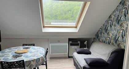 Appartement T2bis proche centre, 4-6 pers, parking