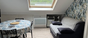 T2bis Apartment near center, 4-6 pers, parking