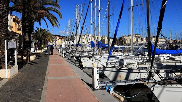Un puerto deportivo con barcos amarrados, un paseo para peatones y palmeras.
