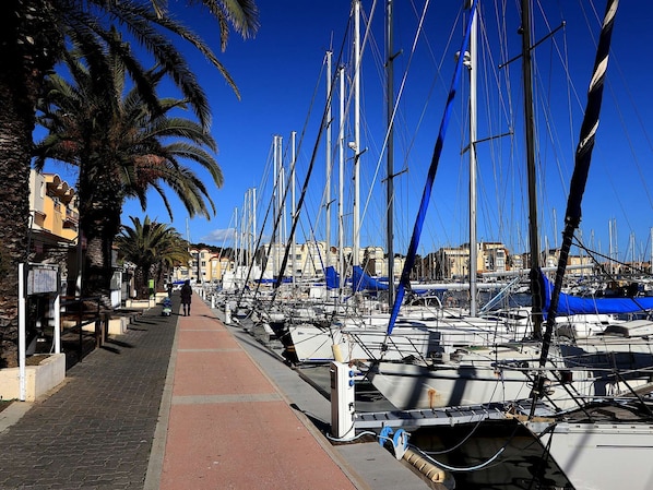 A marina with boats docked, a pedestrian walkway, and palm trees.