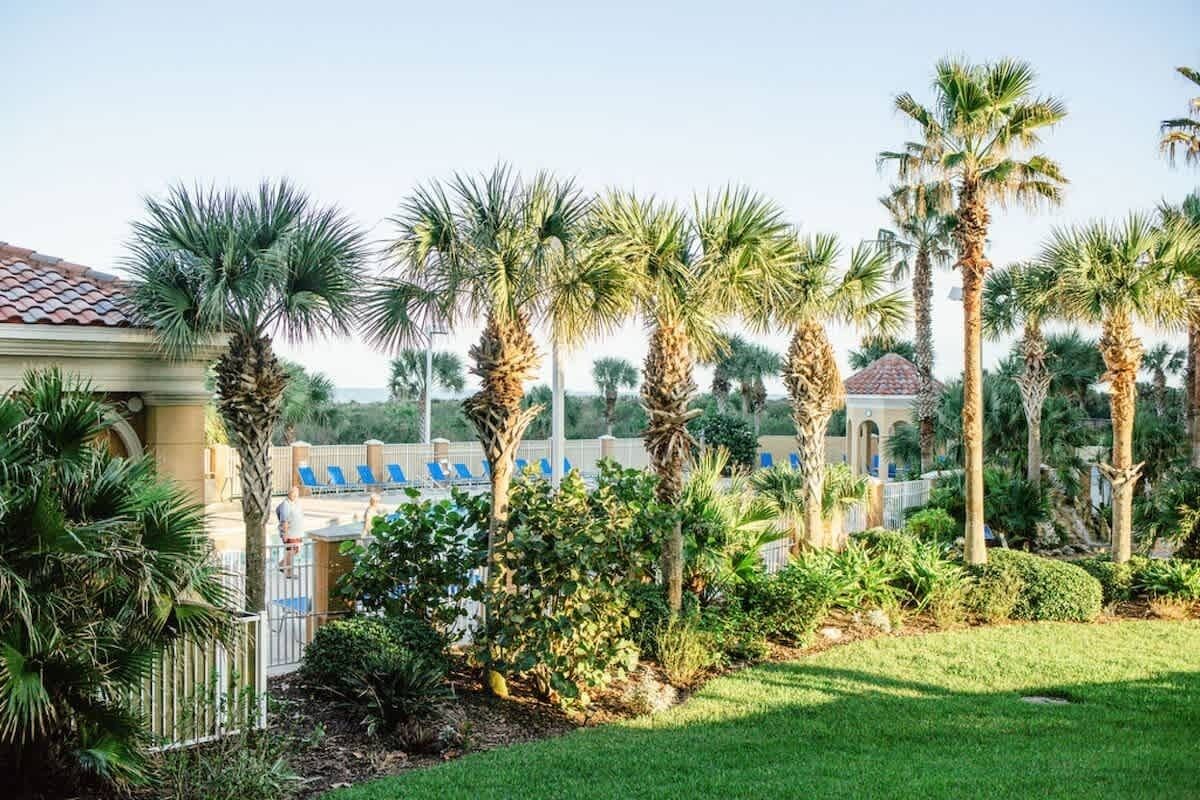 Un jardin bien entretenu, agrémenté de palmiers et doté d’un espace piscine.