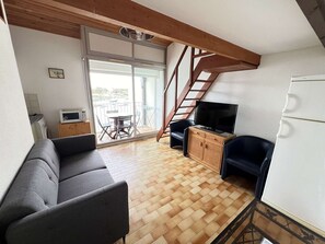 Télévision