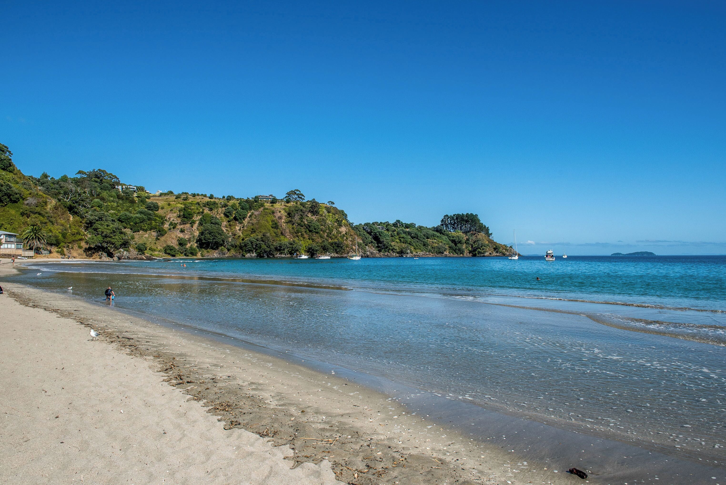 Beach nearby, white sand