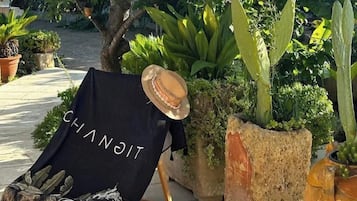 Classic Room | View from room