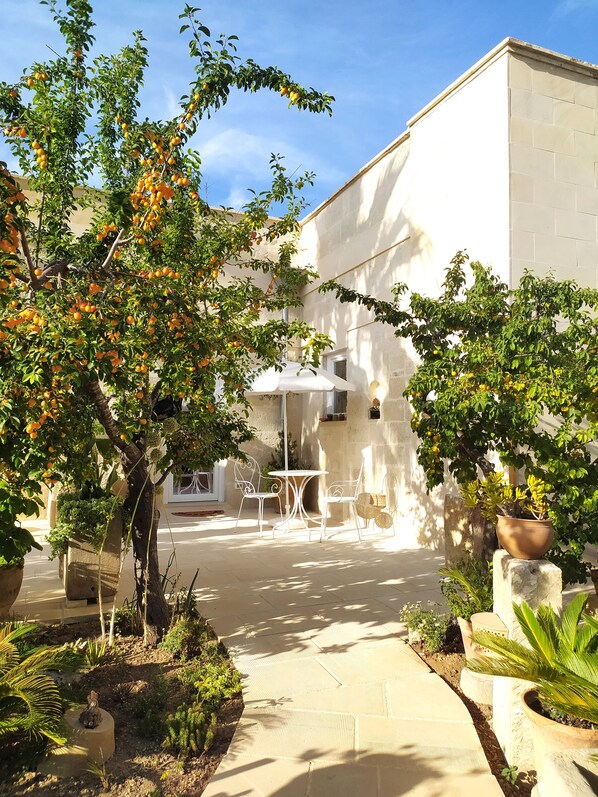 Classic-Zimmer | Terrasse/Patio