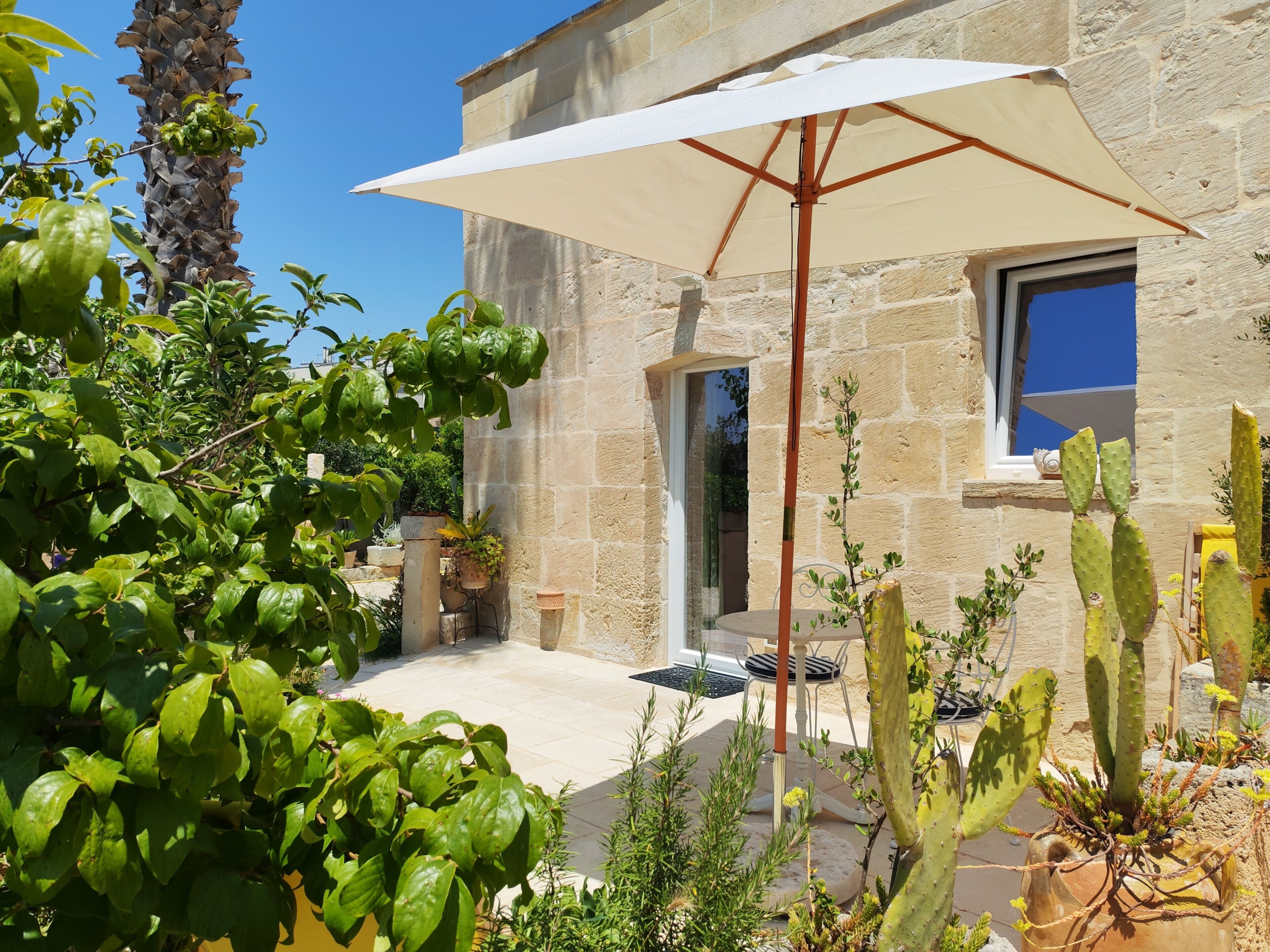 Terraza o patio