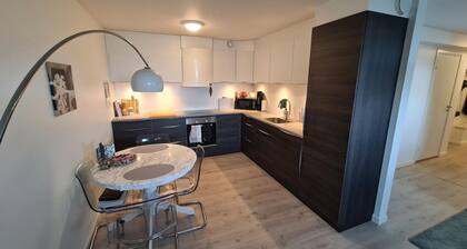 Northern lights apartment with private beachfront