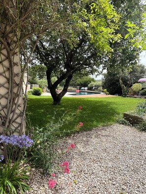 A garden with a tree, a pool, and a lawn.