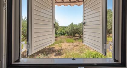 Castle's nest 2-Relaxing in an olive grove