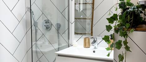Douche, séchoir à cheveux, serviettes fournies, savon