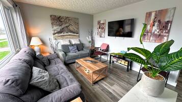 TV connectée, cheminée, livres