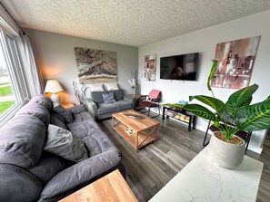 Smart TV, fireplace, books