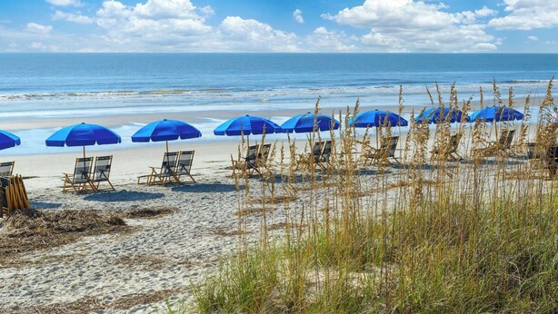 Een strand met blauwe parasols en ligbedden.