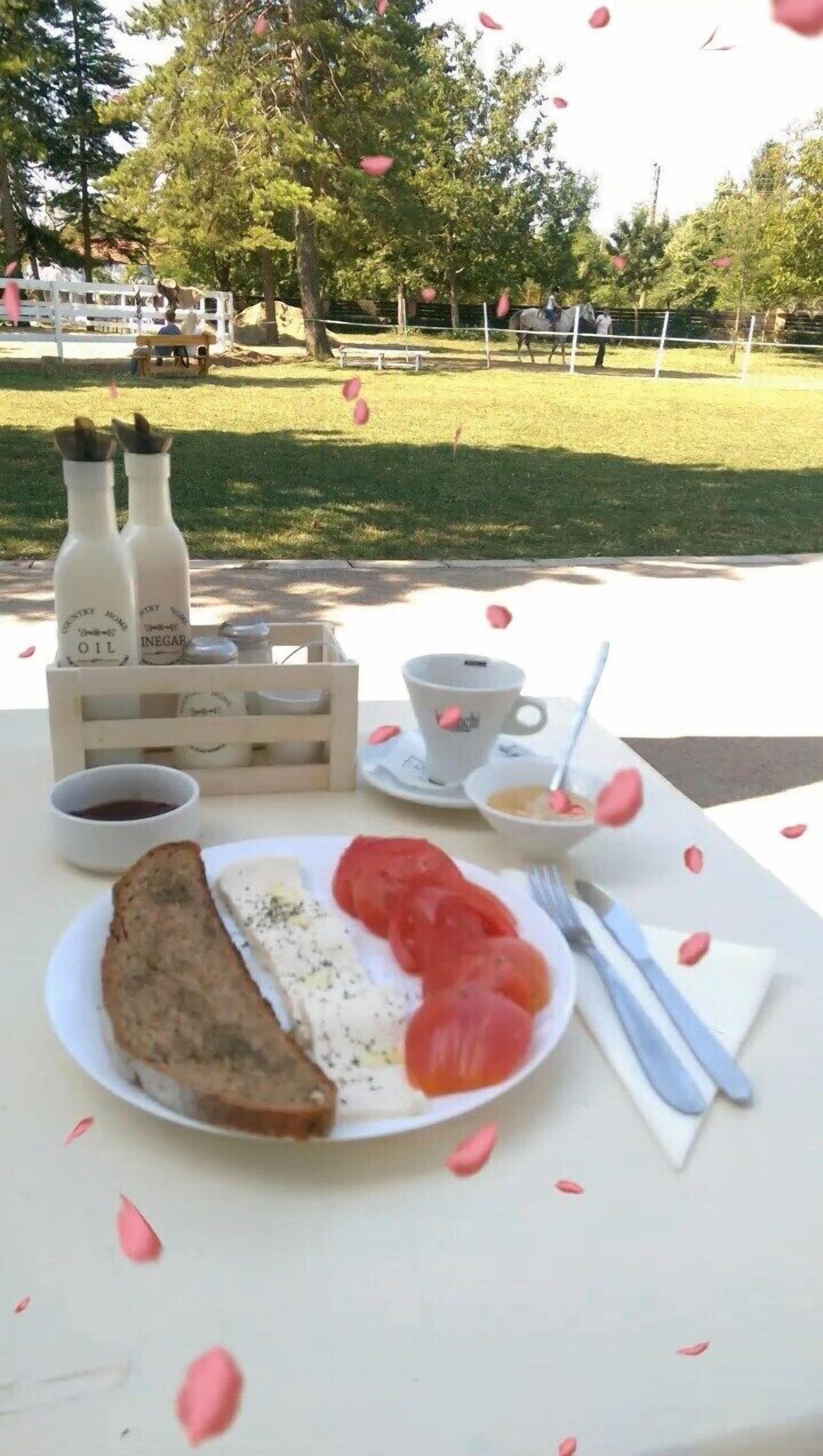 A picnic setup with food and drinks on a table, surrounded by a park.