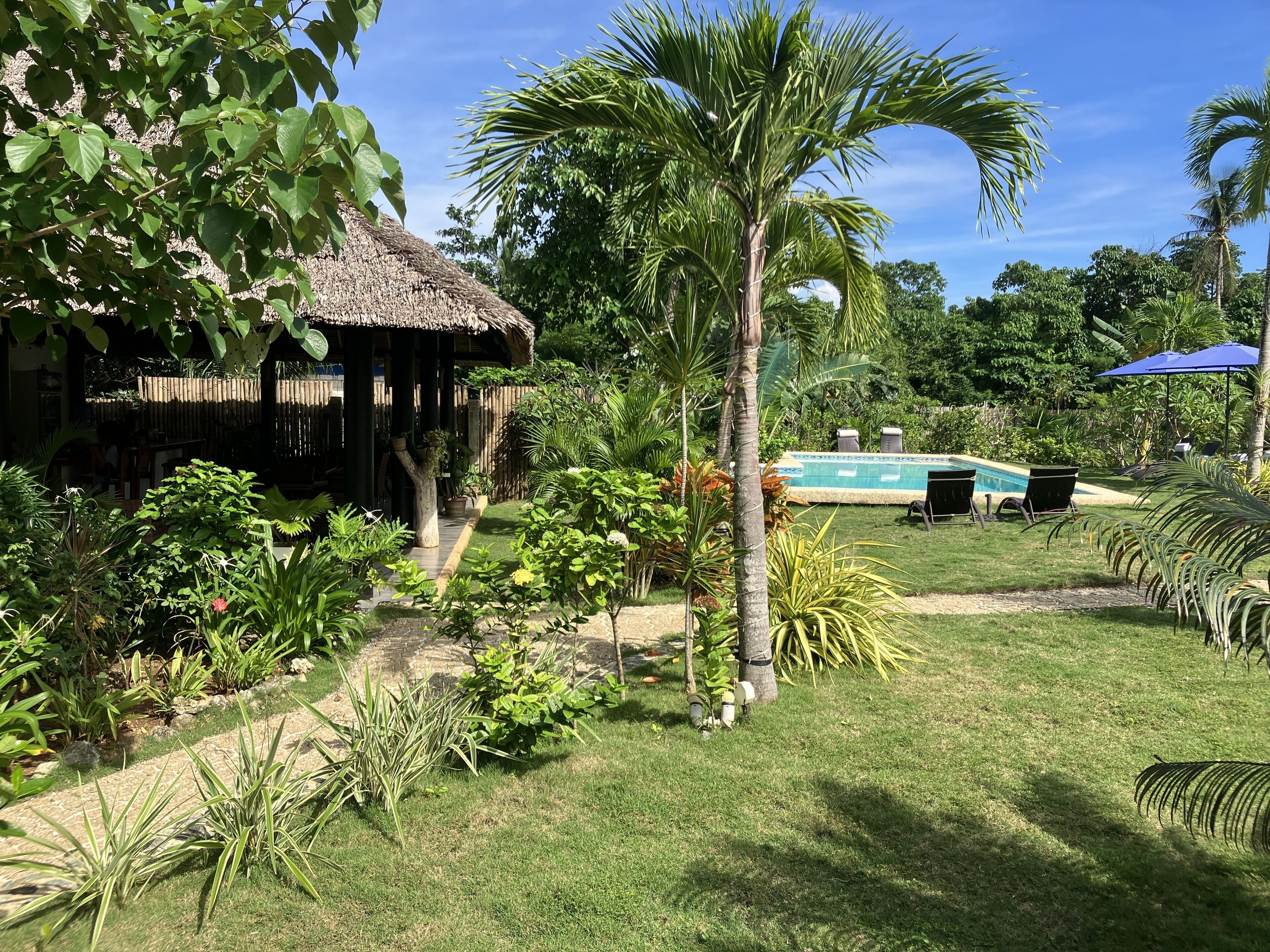 A tropical garden with a pool, a thatched-roof structure, and outdoor seating.
