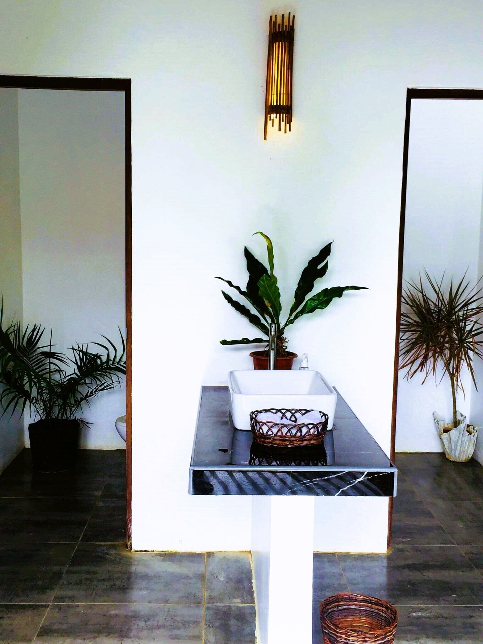A modern bathroom with a white sink, a potted plant, and a wall-mounted light fixture.