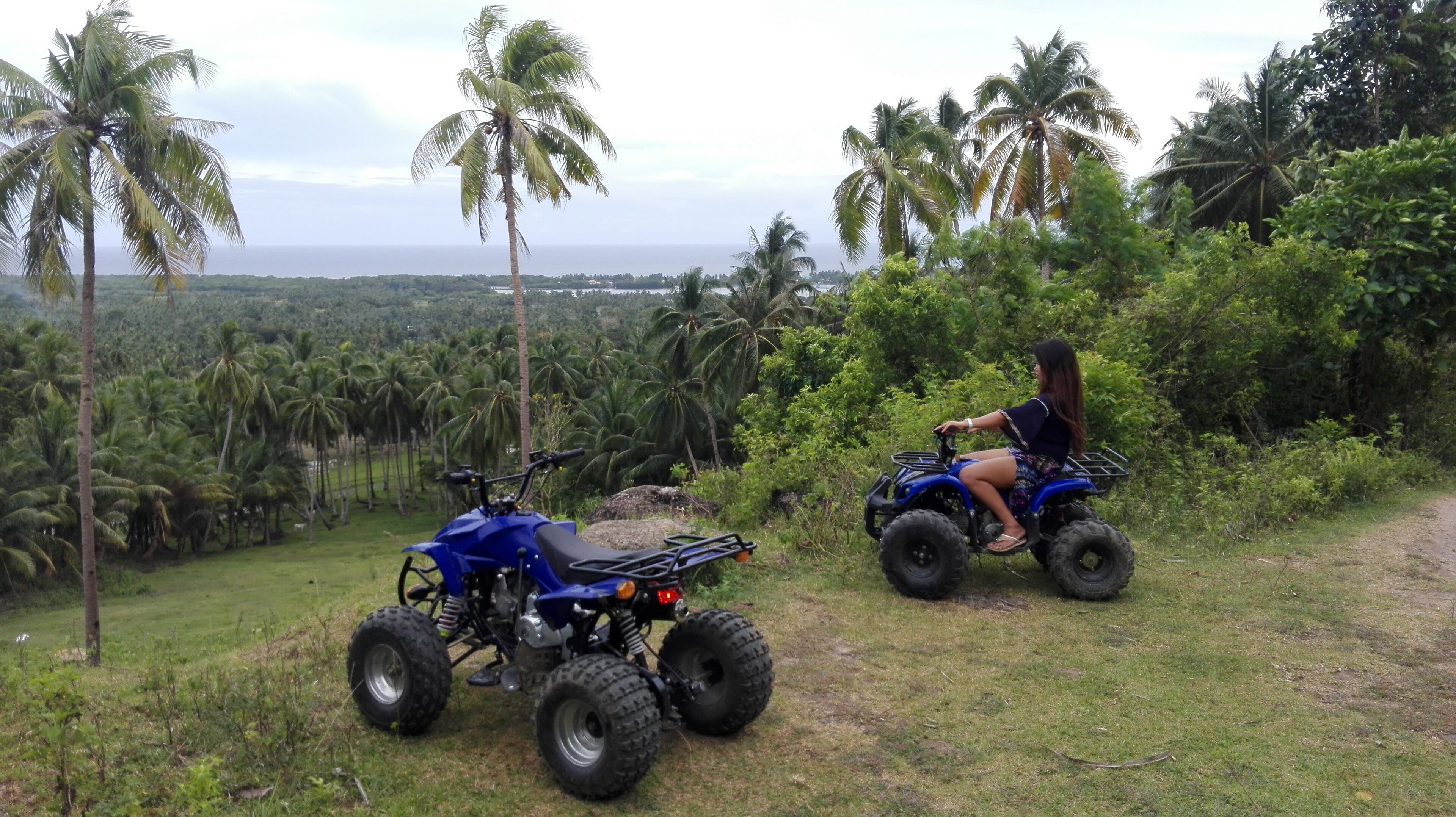 Two people on ATVs on a grassy path with palm trees and a view of the ocean in the background.