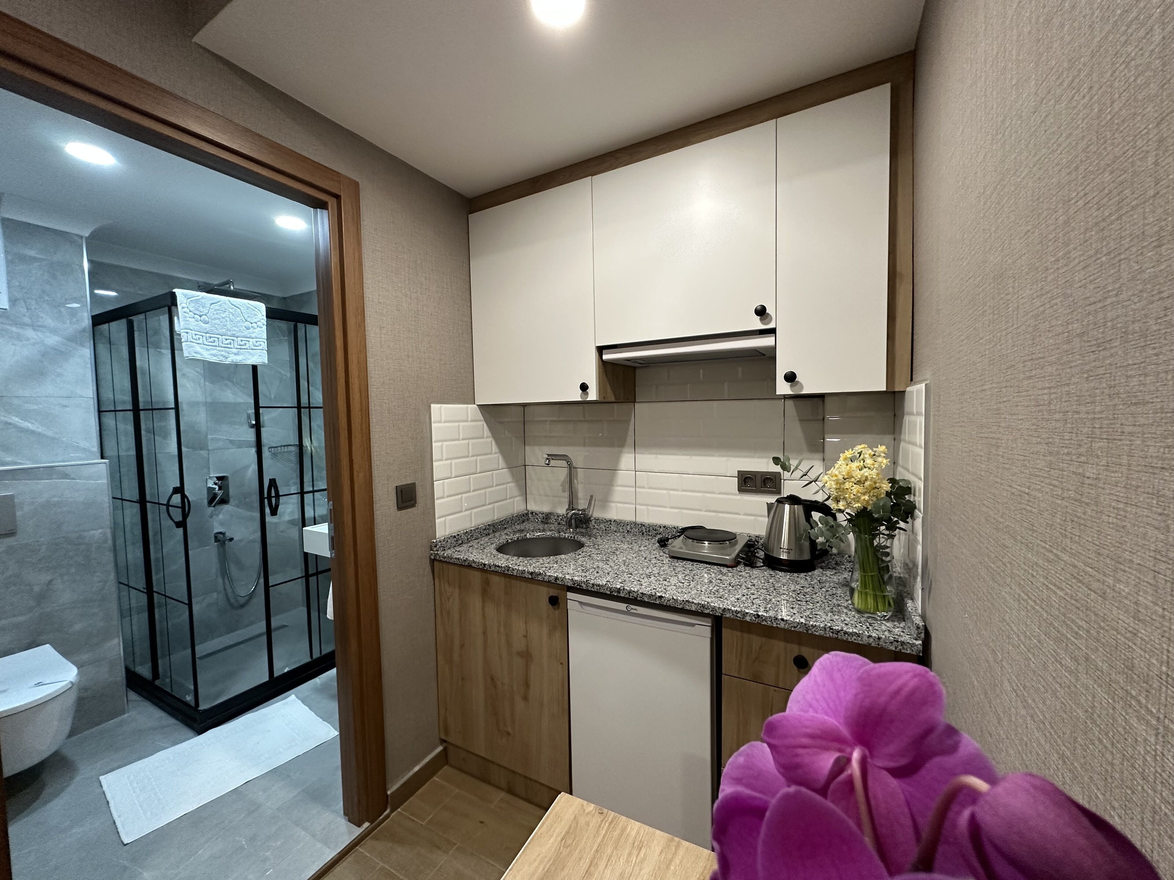 Una cocina moderna con un lavamanos, estufa y microondas. Se ve un box de ducha de cristal y un inodoro en el baño contiguo.