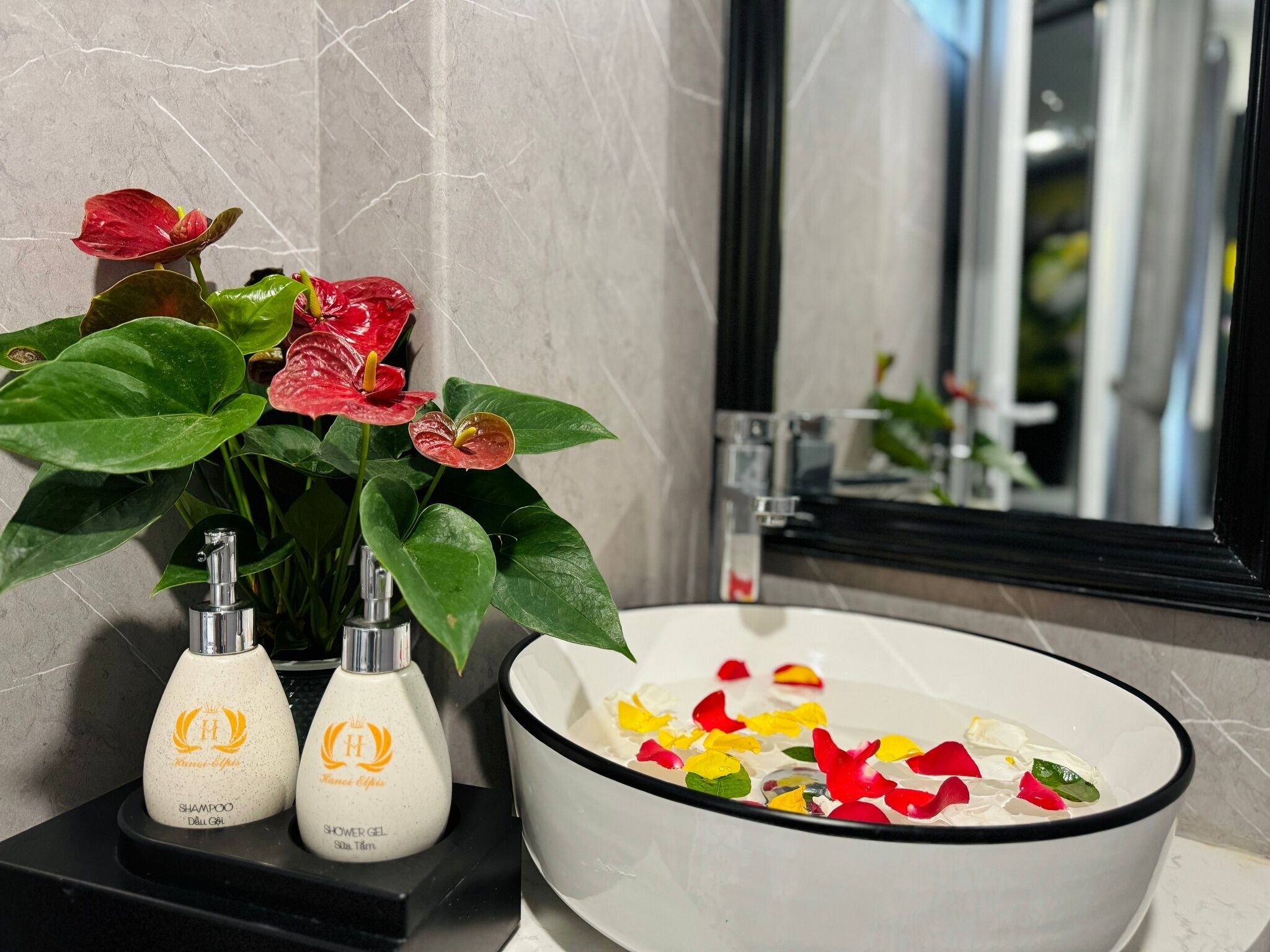 Foto - Hanoi Elpis Hotel & Spa