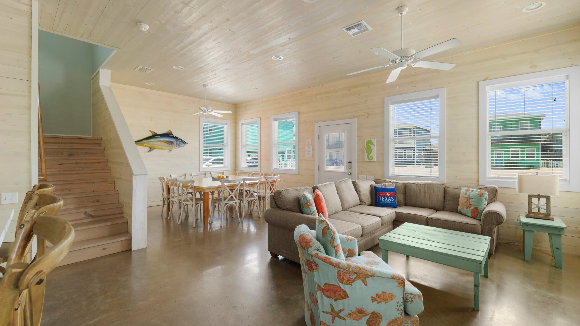 電視、DVD 播放機