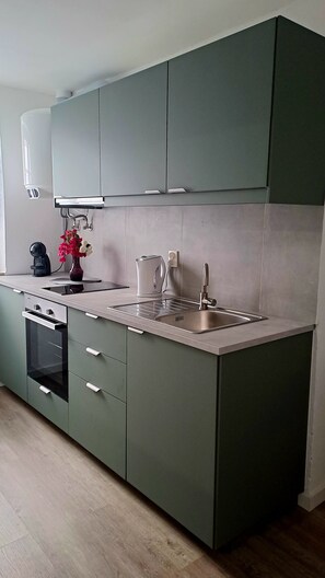 Fridge, oven, stovetop, coffee/tea maker