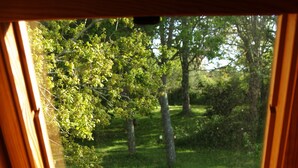 Ventana de madera con vista a un área verde y árboles.