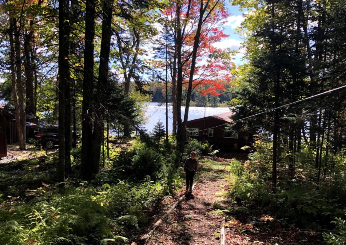 A forested area with a path leading to a building.