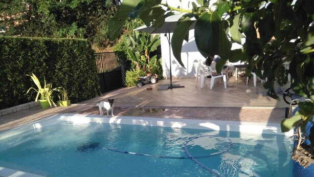 Une piscine dotée d’une terrasse carrelée, entourée de verdure et agrémentée de chaises blanches.