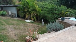 Un jardin avec un petit abri de jardin, un palmier et une plante en pot.