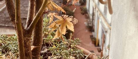 Details aan de buitenkant