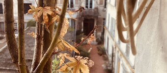 3 independent rooms in the heart of Paris