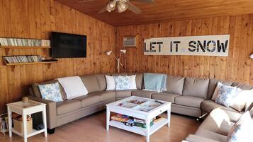 Smart TV, chimenea, reproductor de DVD y libros