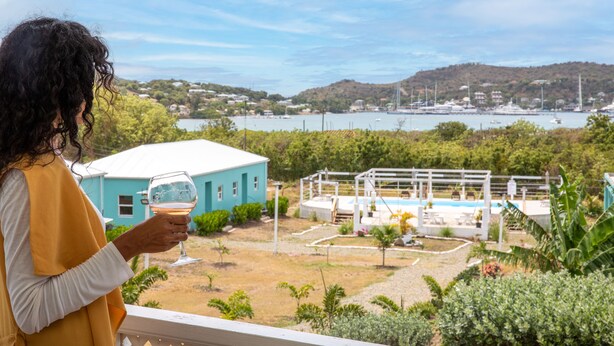 A person holding a glass of wine, overlooking a pool area with a view of a body of water and hills in the background. - Neem View Apartments Antigua (Falmouth Harbour)