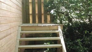 Eine Holztreppe führt zu einer Holztür, umgeben von Grünpflanzen.