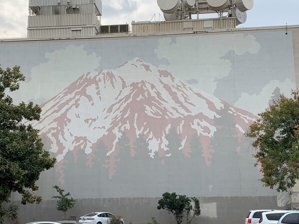 A large mural of a mountain on a building.