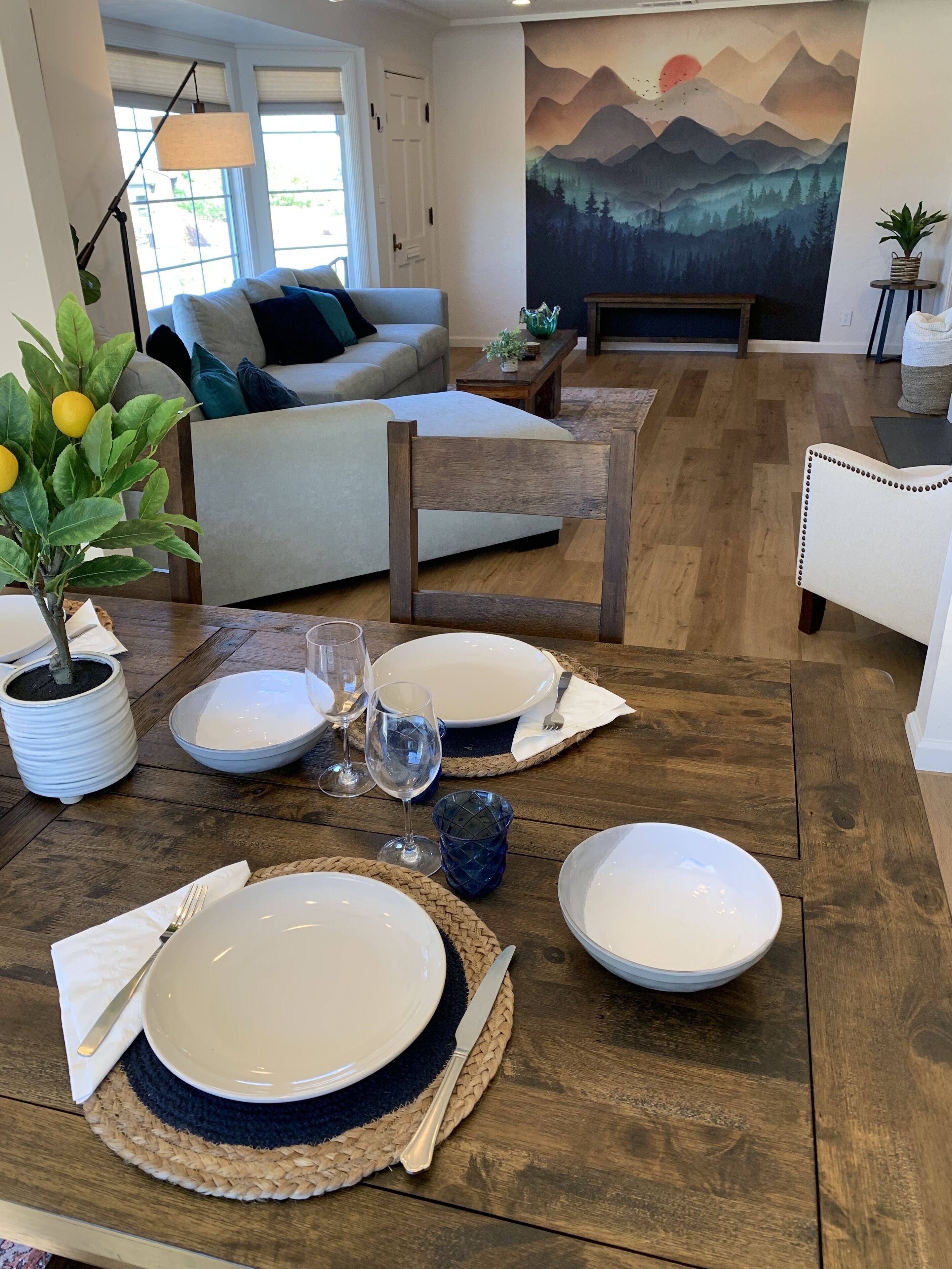 Smart TV, fireplace, books, printers