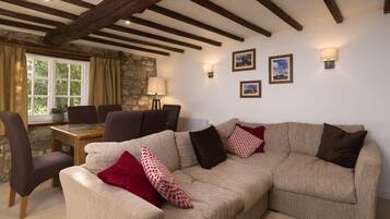 Télévision, cheminée, lecteur de DVD, livres