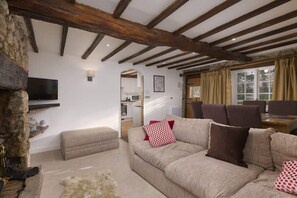 TV, fireplace, DVD player, books