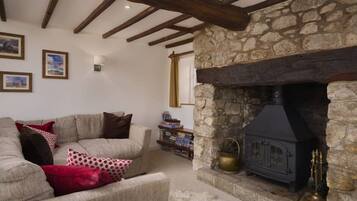 Télévision, cheminée, lecteur de DVD, livres