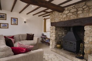 Téléviseur, foyer, lecteur de DVD, livres