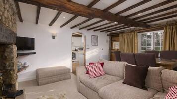 TV, fireplace, DVD player, books